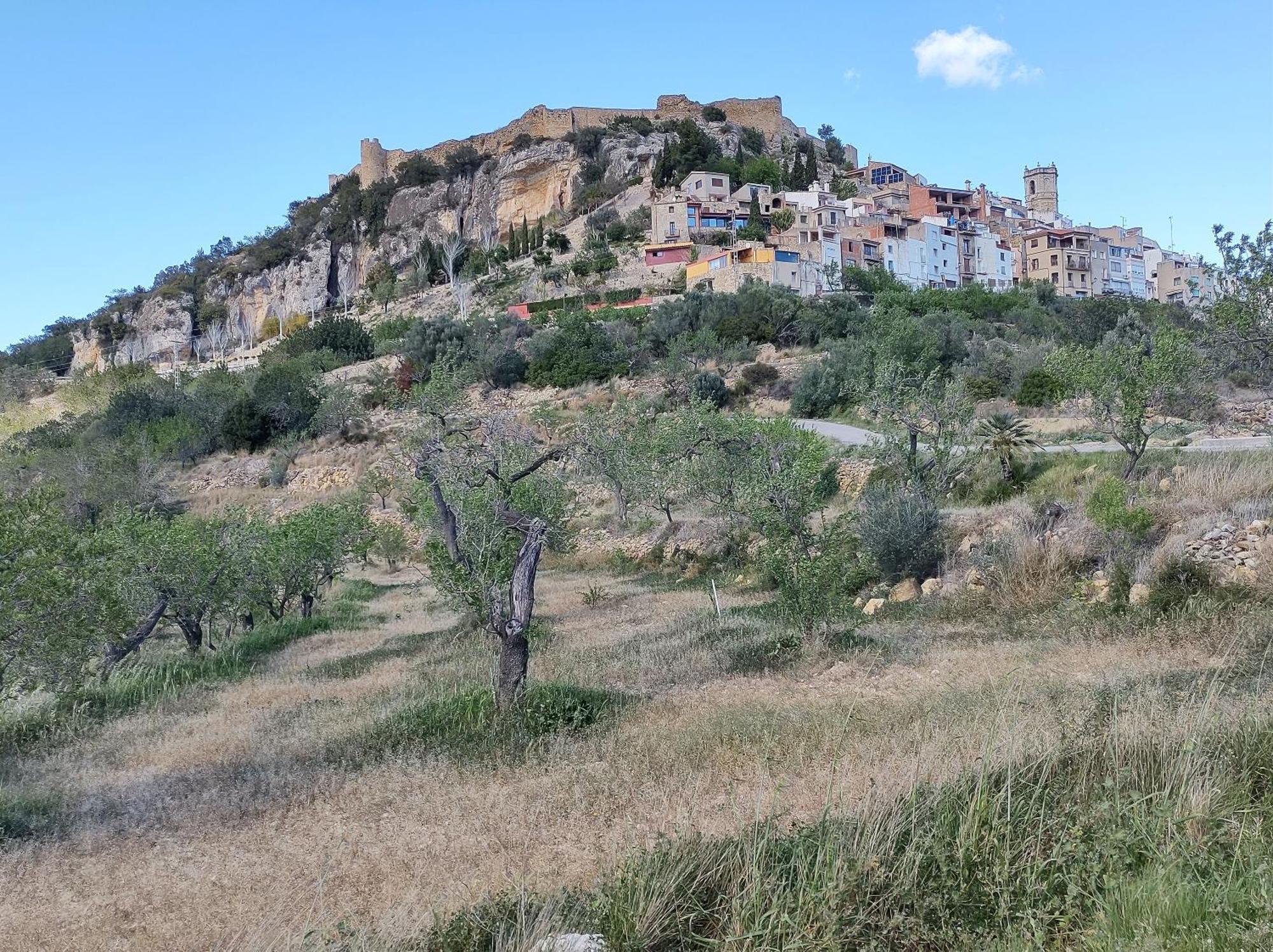 Tranquil And Spacious Townhouse In Historical And Picturesque Cervera Del Maestre Exteriör bild